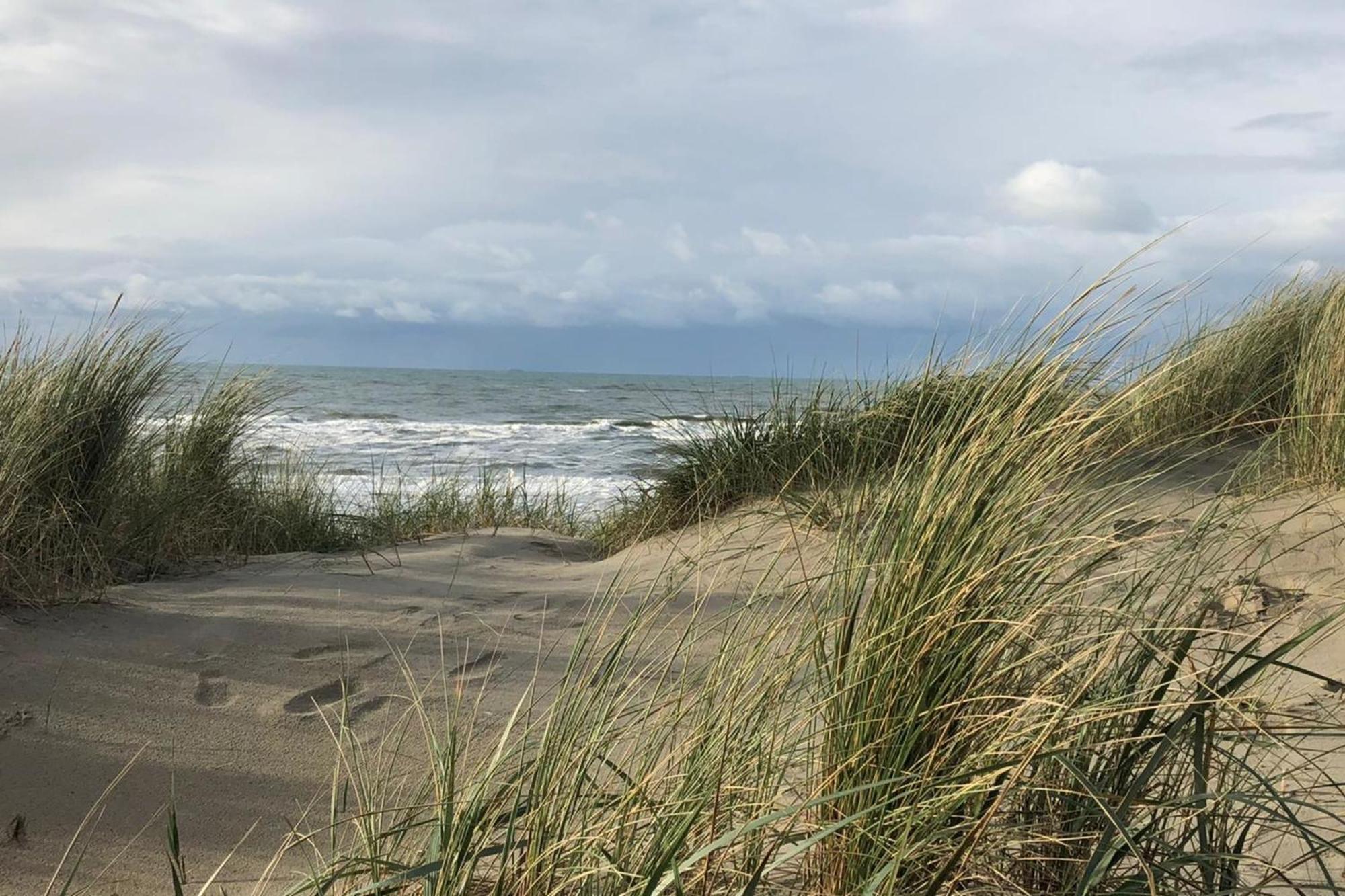Apartmán Shell 61 Zandvoort Exteriér fotografie